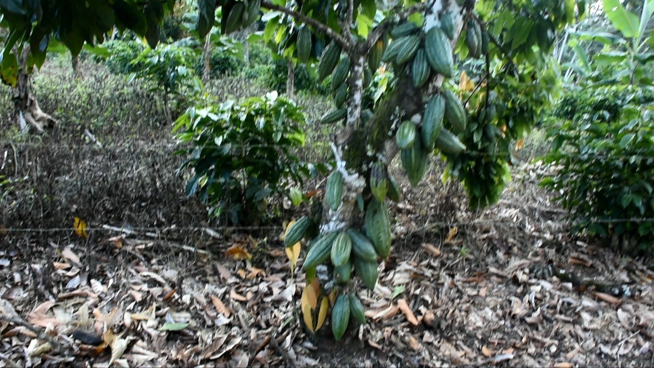 Camacã: Prefeitura recupera estrada vicinal depois de 40 anos 
